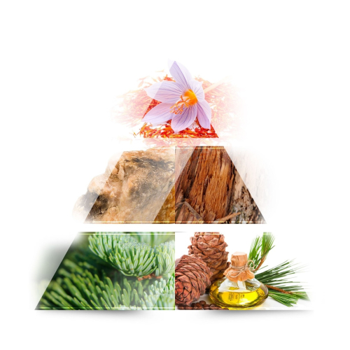 ONE AVENUE -  Eau de parfum - Rouge