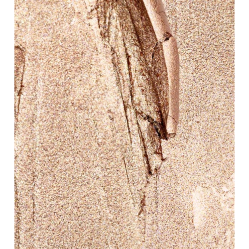 Palladio - Sombra de ojos en stick - 02: Champagne Shimmer