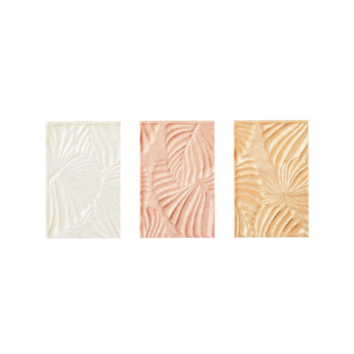 Planet Revolution - Paleta de rostro - Rainforest