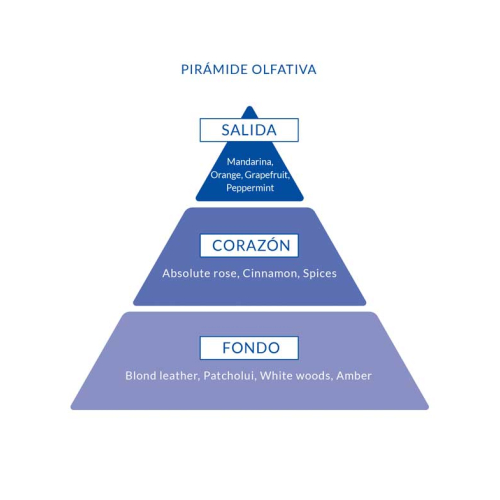 Poseidon - Eau de toilette para hombre 150ml - Gold