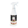 Prady - Ambientador en spray para hogar 700ml - Ritual de Spa