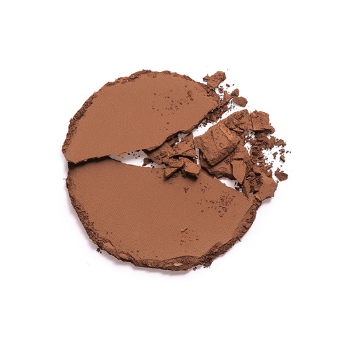 Revolution Pro - Base de maquillaje en polvo Pro Powder Foundation - F17