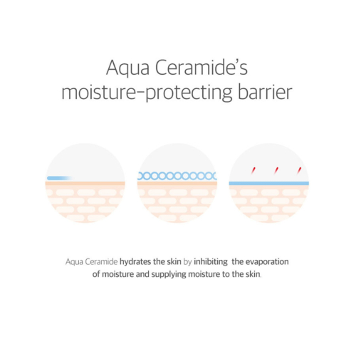 Round Lab - Protector solar calmante 365 Derma Relief SPF 50+ PA++++