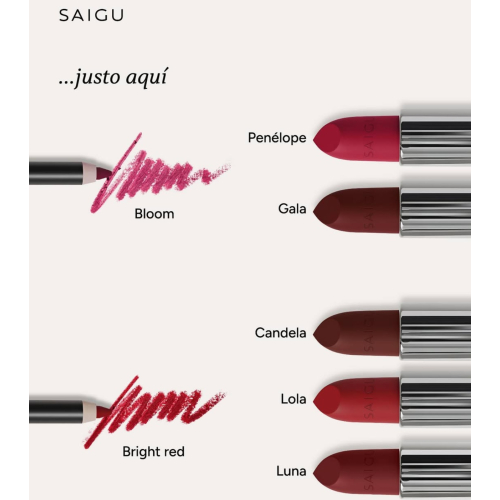 Saigu Cosmetics - Barra de labios Velvet - Gala