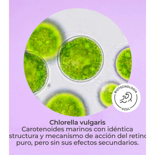 SEGLE - Crema facial noche antiedad Tinolvital - Piel normal a seca