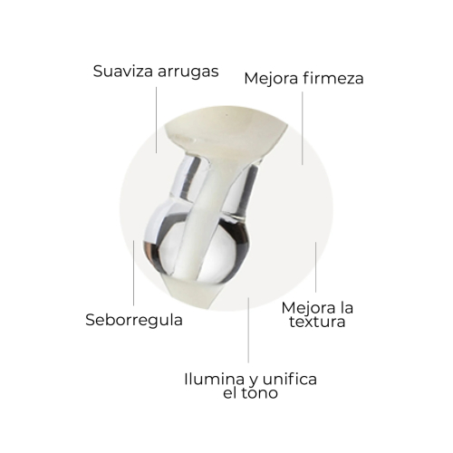 SEGLE - Pack antiedad Well Aging Set