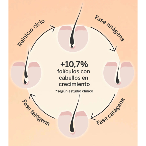 SEGLE - Sérum capilar Revival & Density