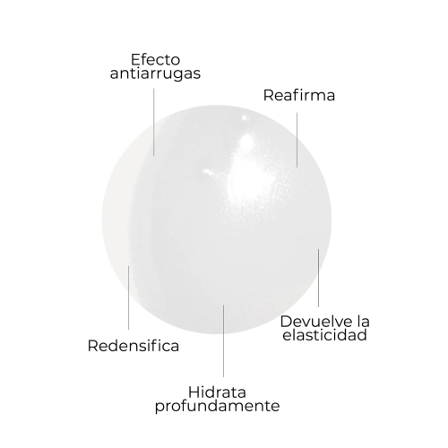 SEGLE - Sérum facial antiedad Cellular Plus