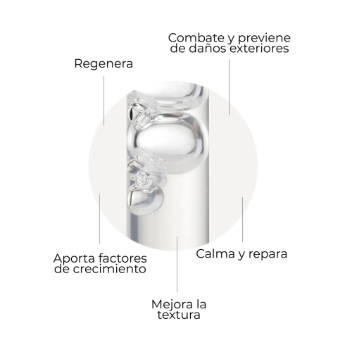 SEGLE - Sérum facial antiedad regenerador Skin Factor - Piel sensible