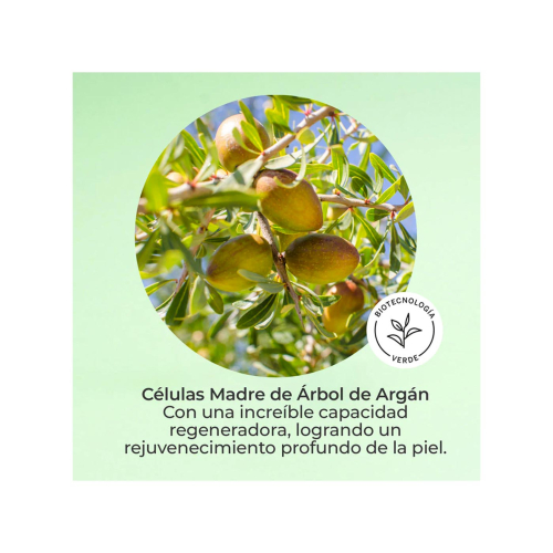 SEGLE - Sérum facial Cellular Plus