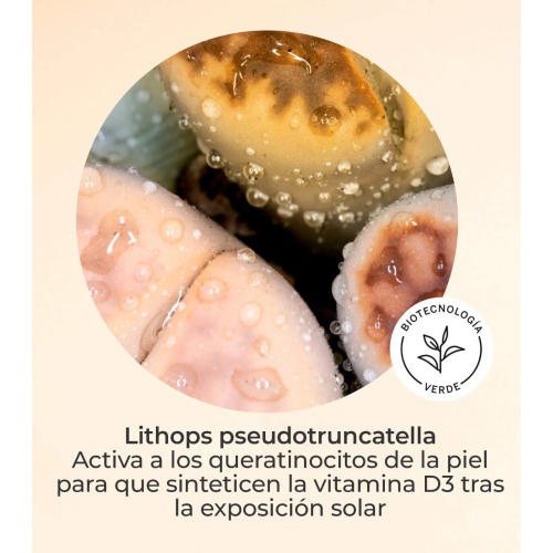 SEGLE - Sérum facial de vitamina D Urban SPF30