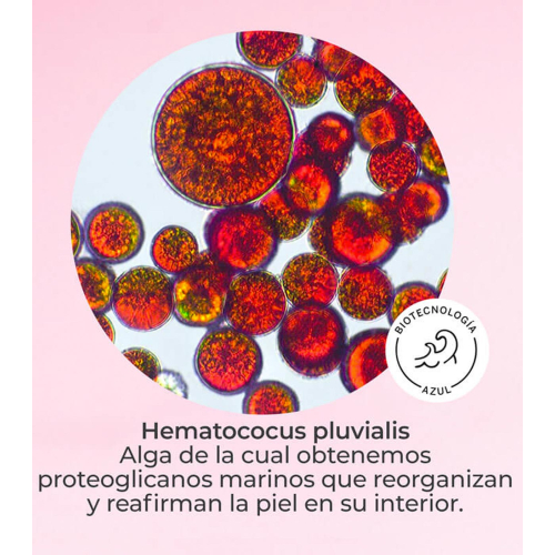 SEGLE - Sérum facial efecto flash lifting DMAE LIFT 10