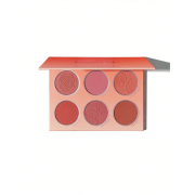 SHEGLAM - Paleta de coloretes en polvo Floral Flush - Cottage Core Garden