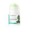 Sylveco - Desodorante herbal natural