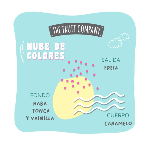 The Fruit Company - *Candy Shop* - Ambientador Mikado - Nube de colores