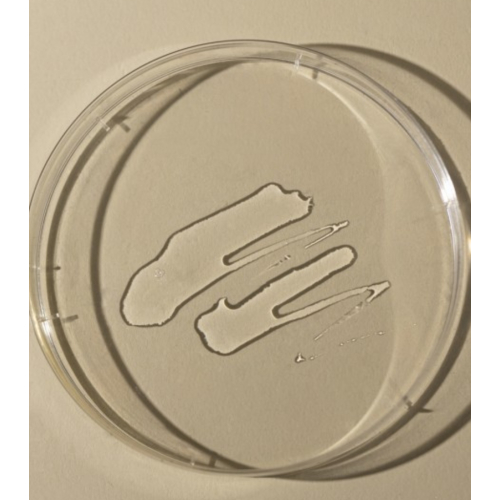 Toun 28 - Tónico facial Propolis Balance Toner