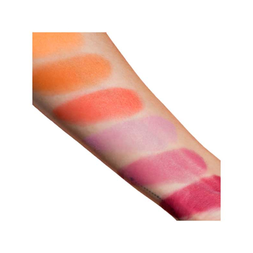 Viseart - Paleta de coloretes en polvo - VBL02: Rose/Coral