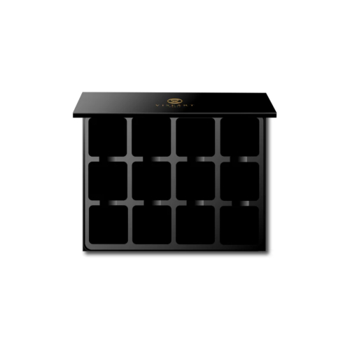 Viseart - Paleta magnética vacía Empty 12-Well VISEPRO™