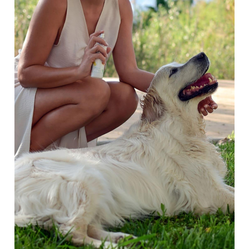 Wailoha - *Maldito Perro Sensual* - Colonia para mascotas Ríos de Aventuras